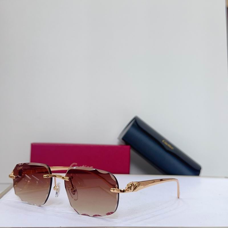 Cartier CT9722O 56C17-130 g