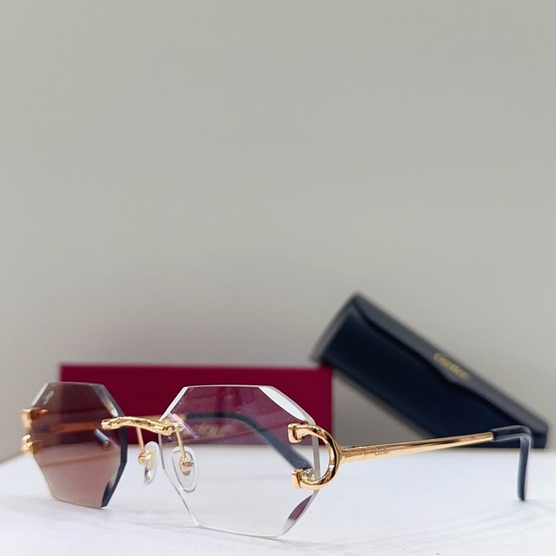 Gucci CT1628O 56 17 135 g