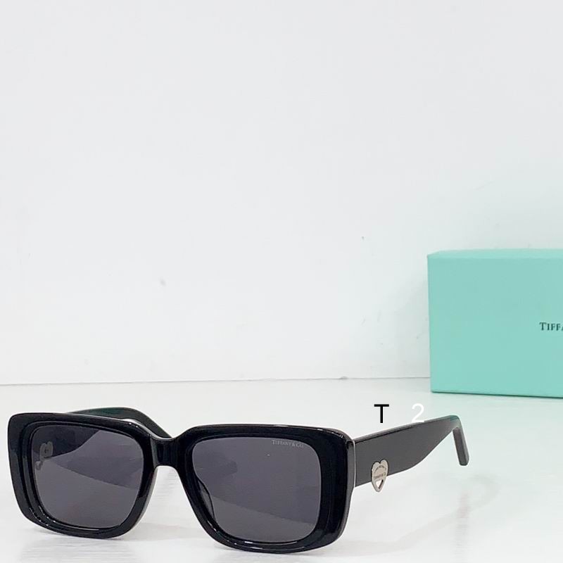 TIFFANY Co TF5009 55 19-145 B