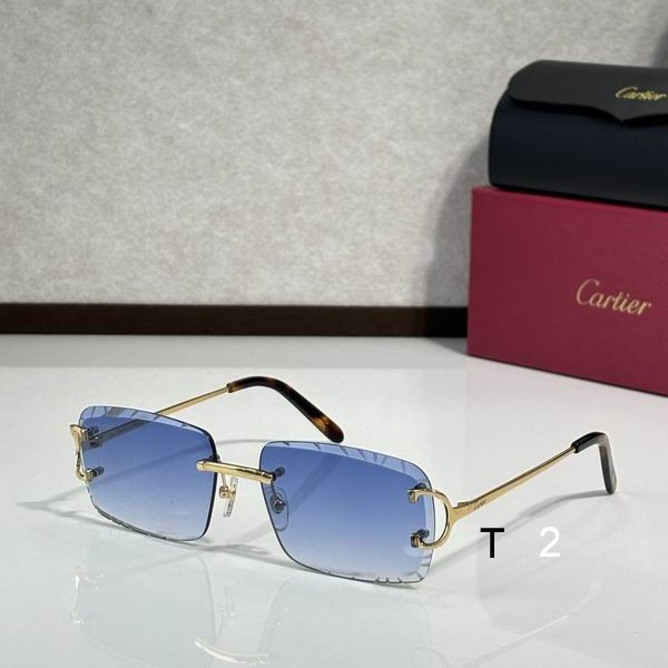 Cartier CT00920 140 C