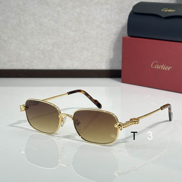 Cartier CT0753S 55 18-143 c