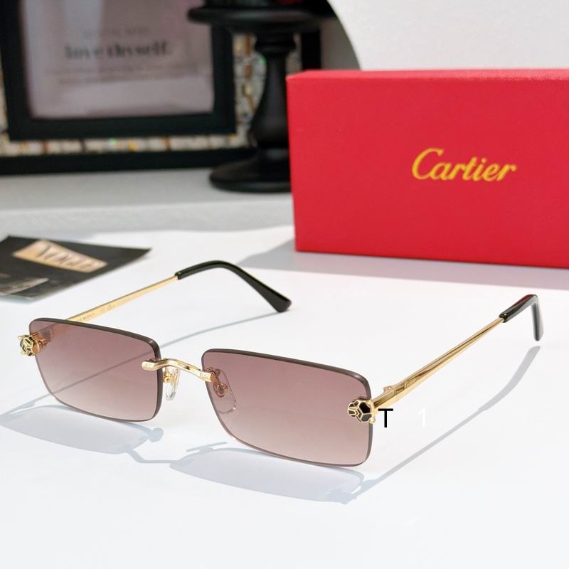 Cartier CT0598S 140 a