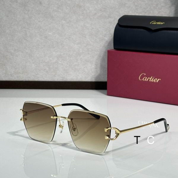 Cartier CT0466S 58 16-145 c