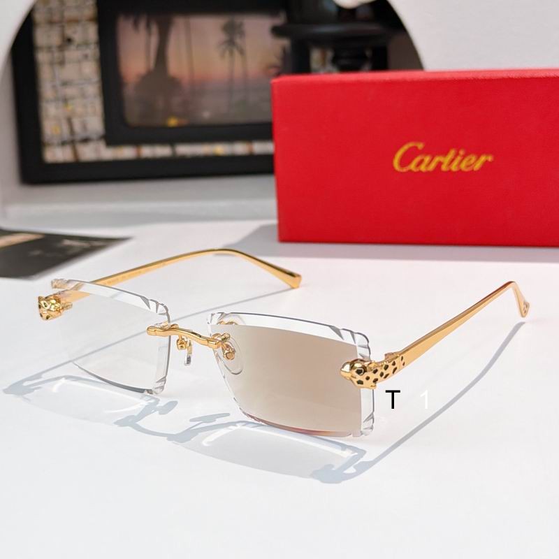 Cartier CT0783S 58 17-143 a