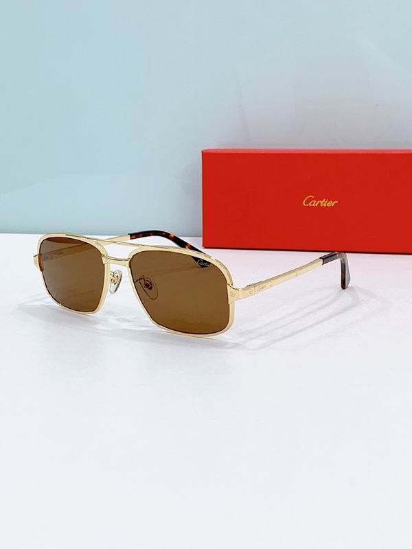 Cartier Glasses smr315