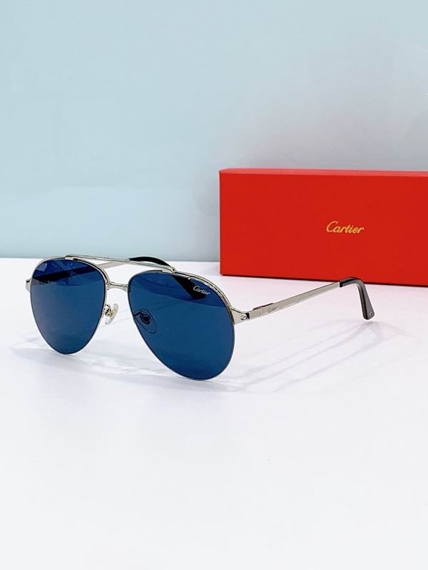 Cartier Glasses smr324