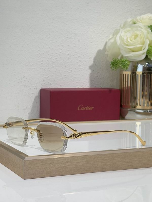 Cartier Glasses smr351