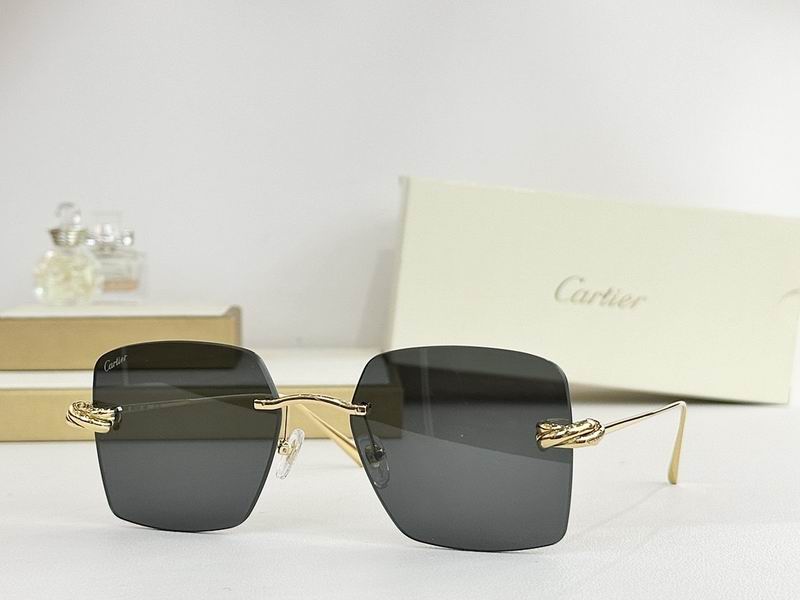 Cartier Glasses smr393