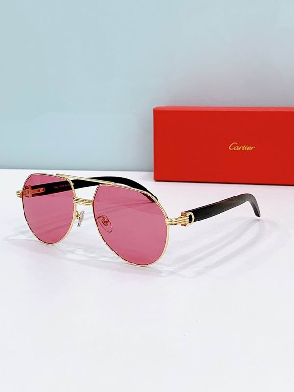 Cartier Glasses smr403