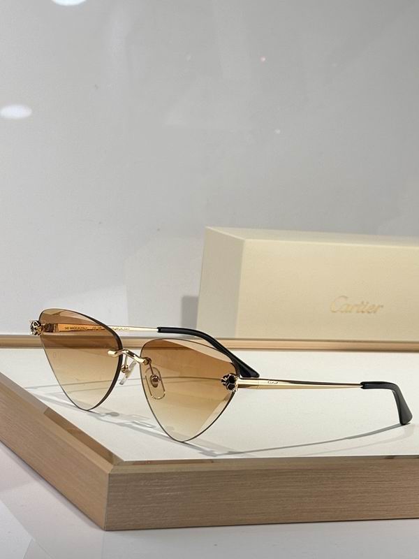 Cartier Glasses smr440