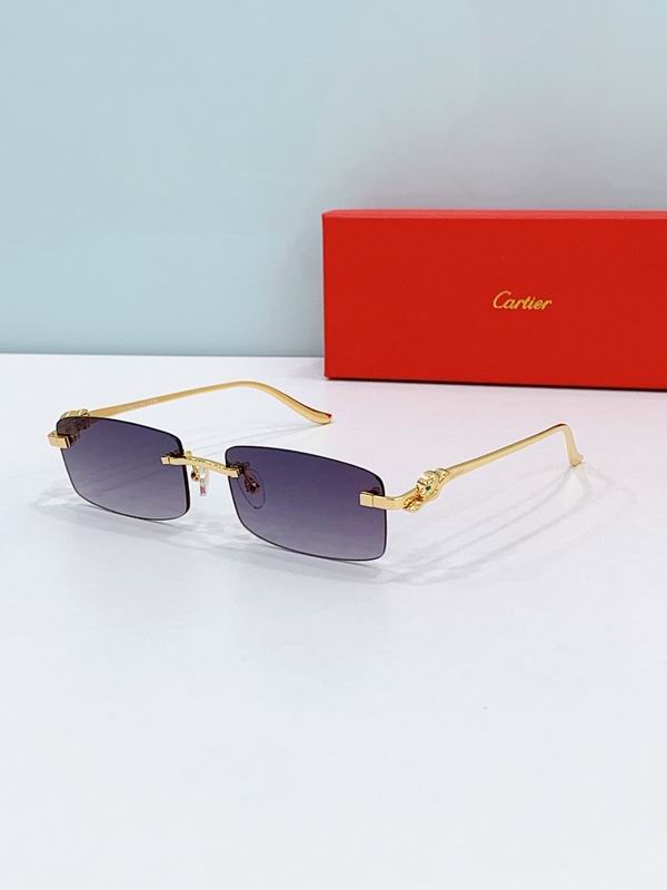 Cartier Glasses smr460