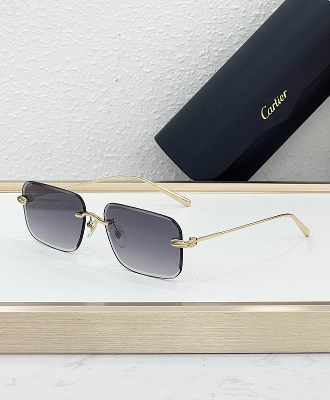 Cartier Glasses smr505