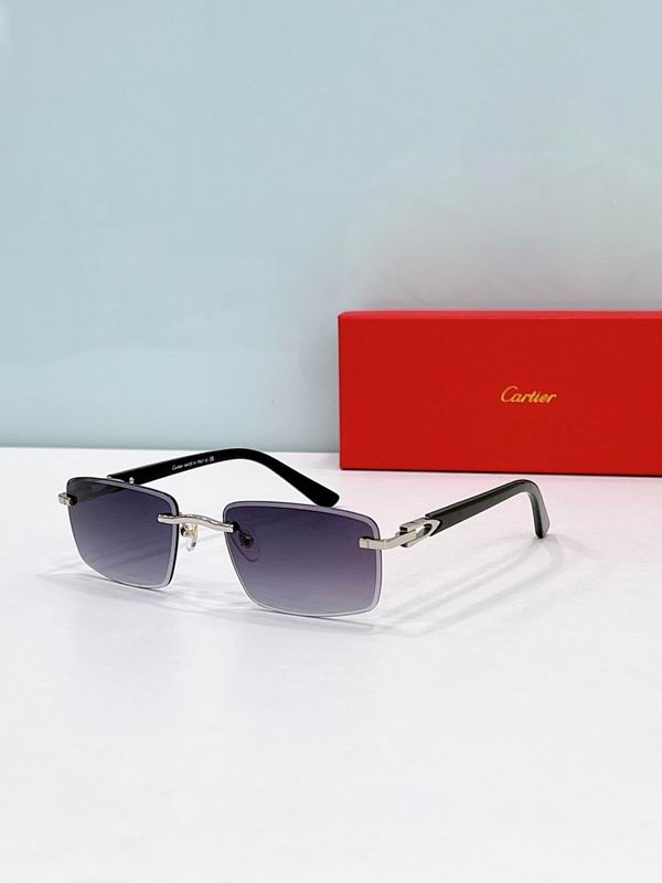 Cartier Glasses smr520