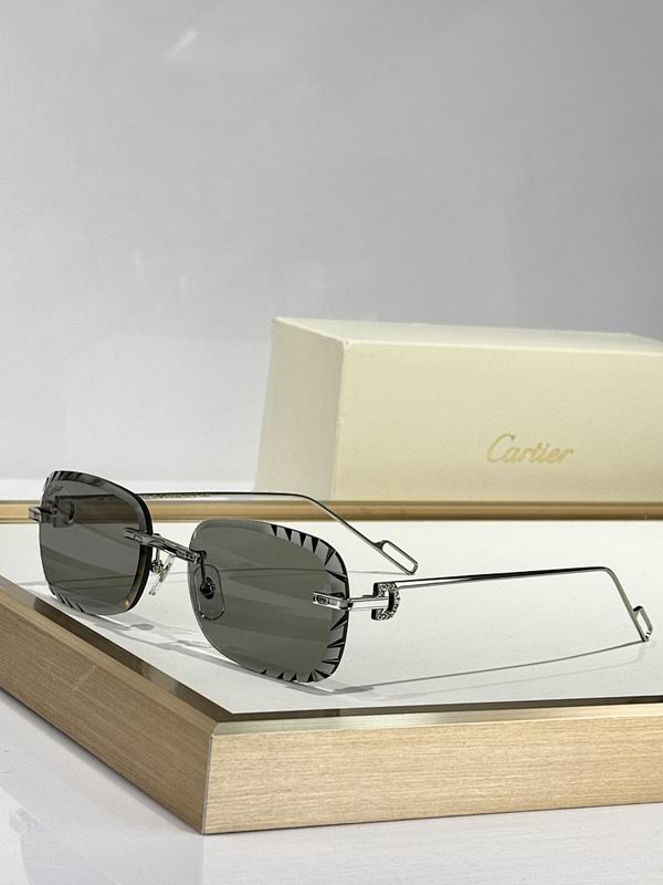 Cartier Glasses smr558