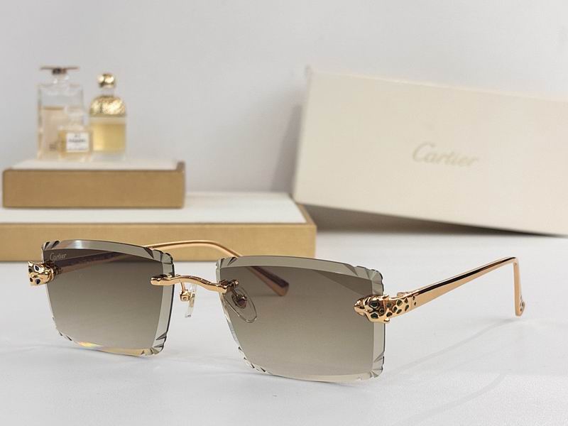 Cartier Glasses smr570