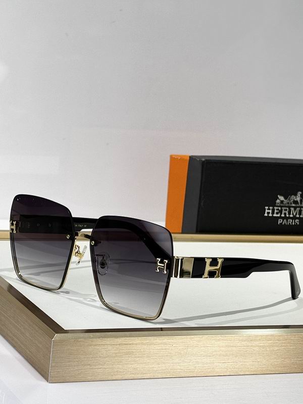 Hermes Glasses smr34