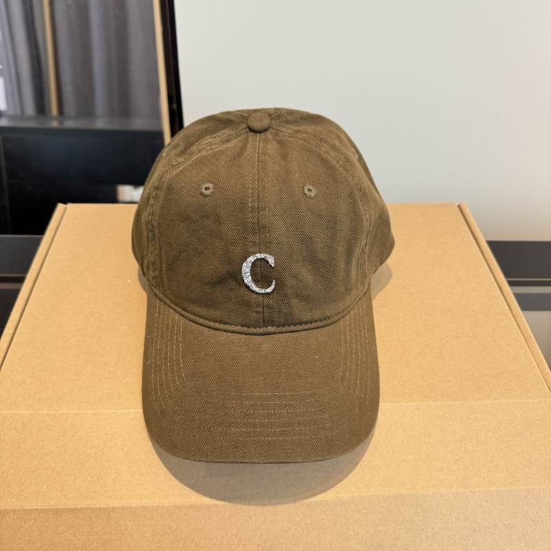 Other Cap 012504
