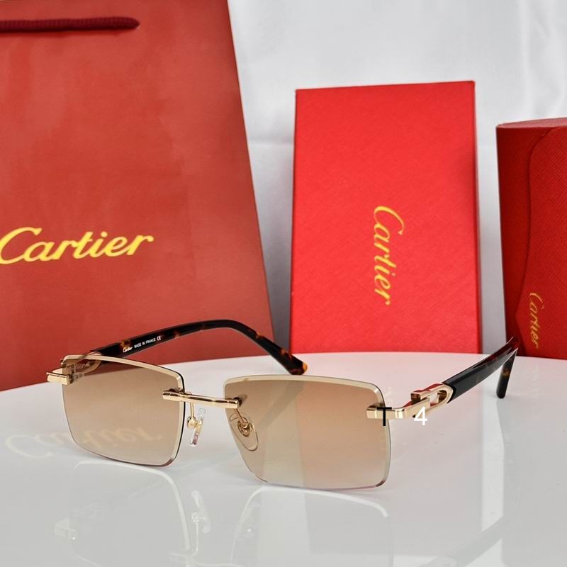 Cartier CT0582S 56 19-145 E
