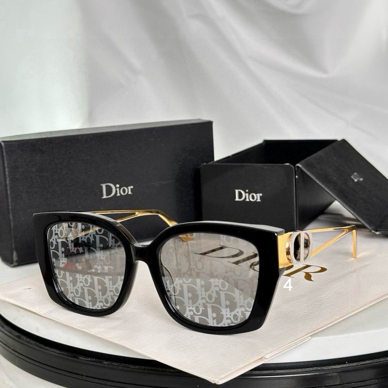 Dior  S13F 54 19-145 e