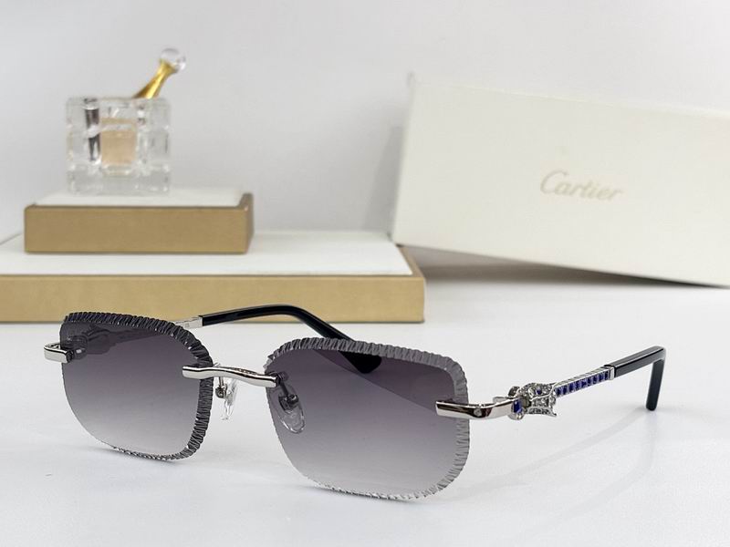 Cartier Glasses smr31
