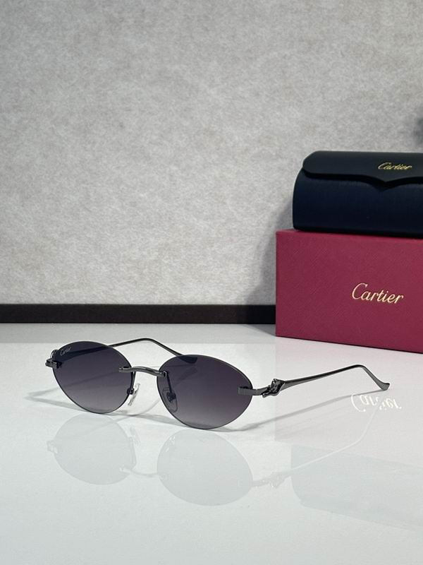 Cartier Glasses smr45
