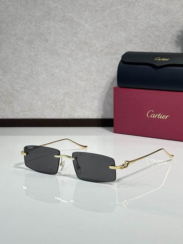 Cartier Glasses smr51