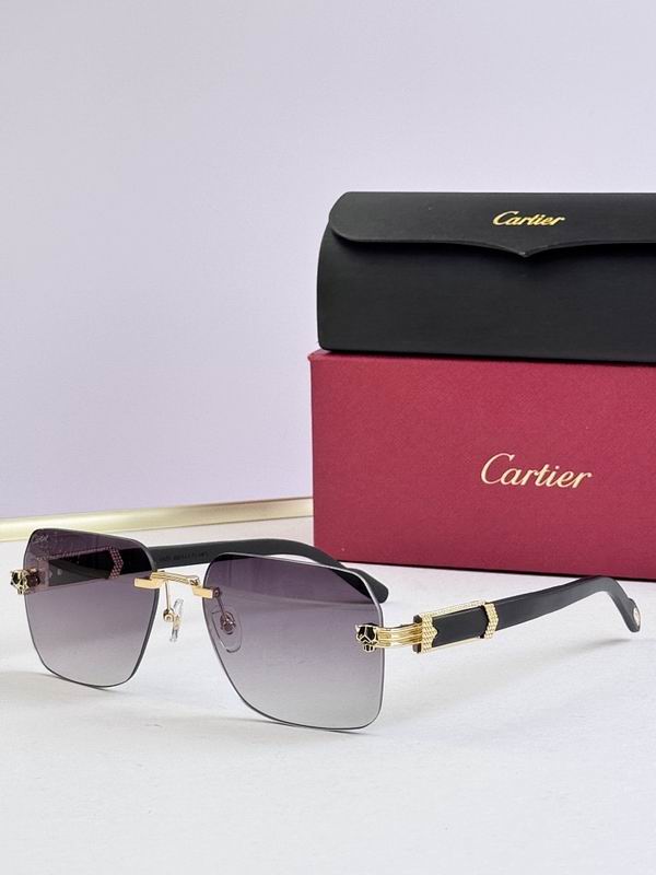 Cartier Glasses smr54