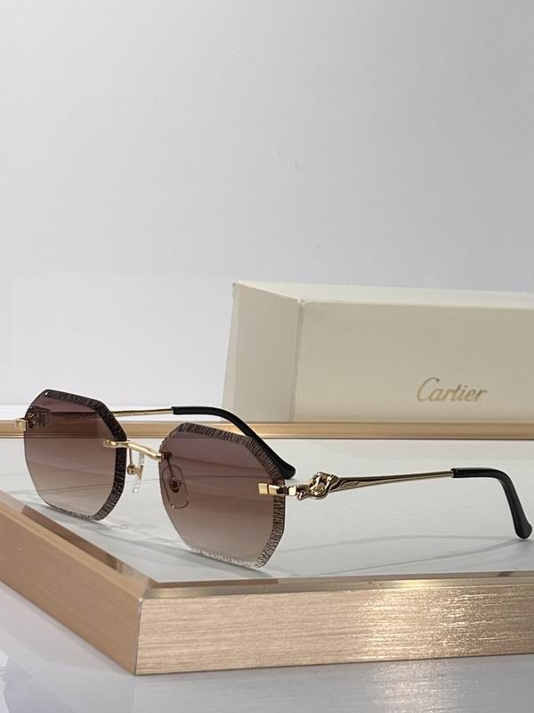 Cartier Glasses smr63