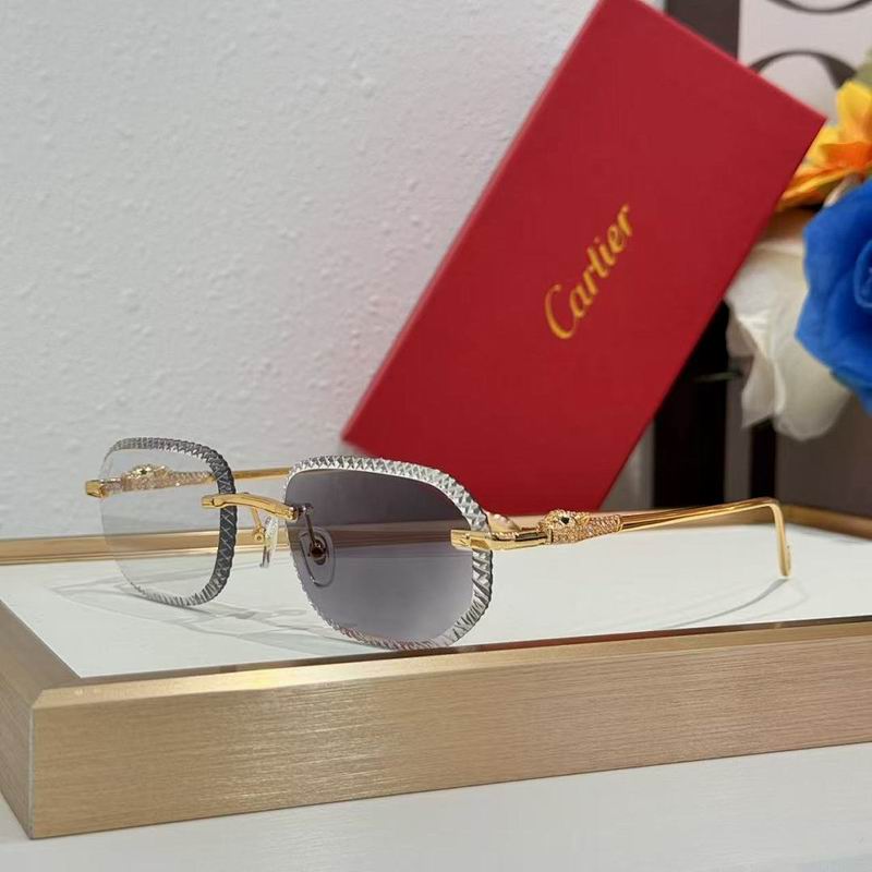 Cartier Glasses smr95