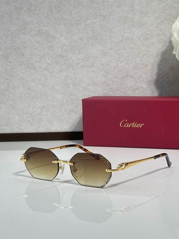 Cartier Glasses smr103