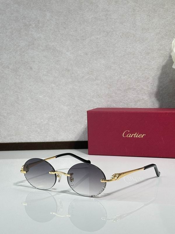 Cartier Glasses smr104