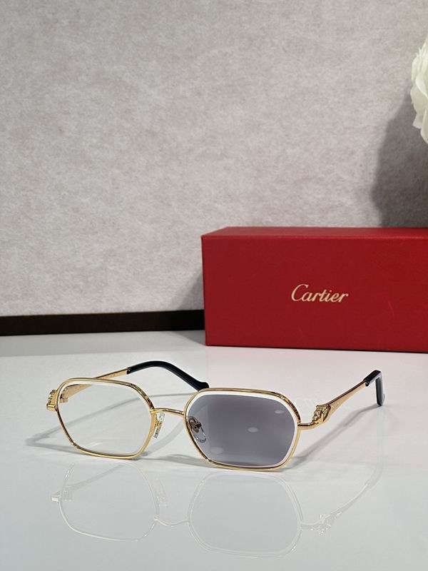 Cartier Glasses smr105