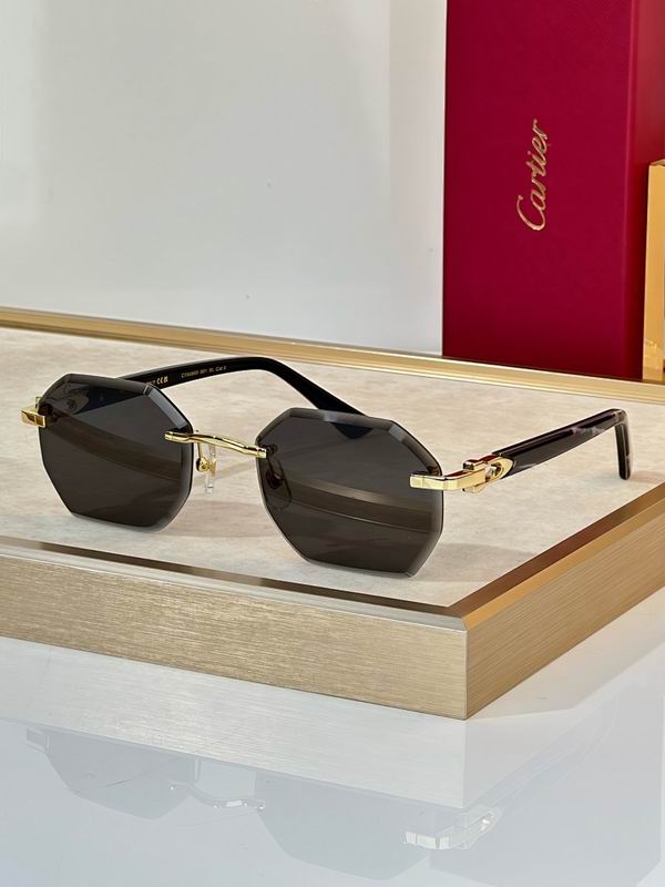 Cartier Glasses smr109