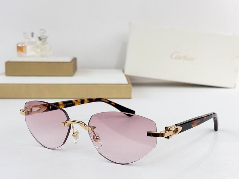 Cartier Glasses smr120