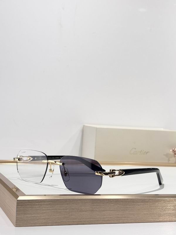 Cartier Glasses smr126