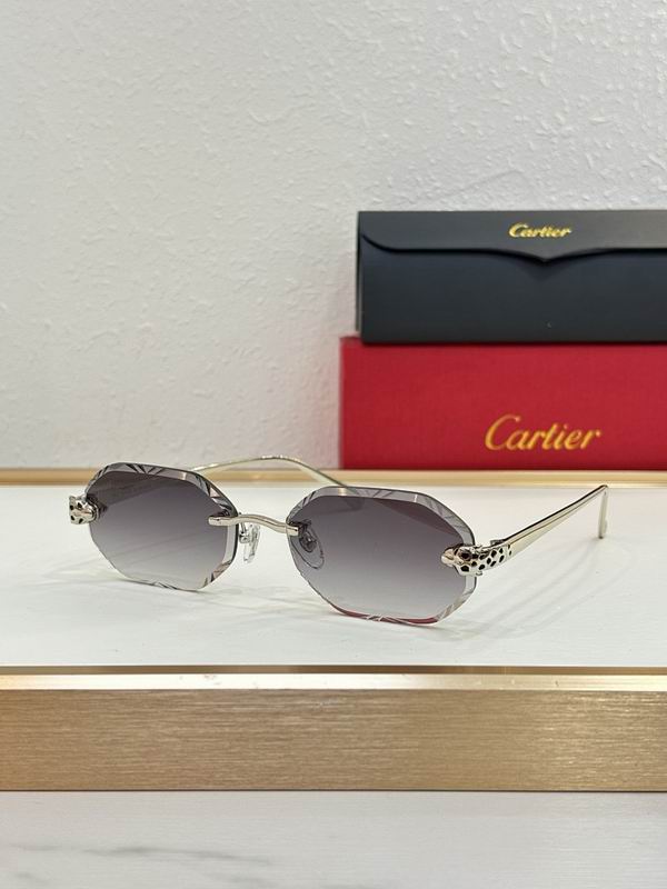 Cartier Glasses smr133