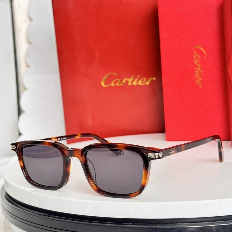 Cartier Glasses smr142