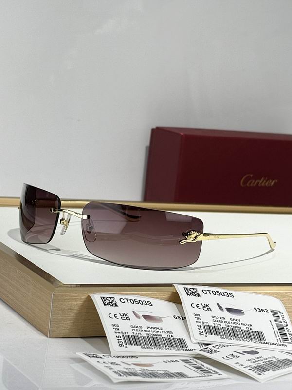 Cartier Glasses smr149