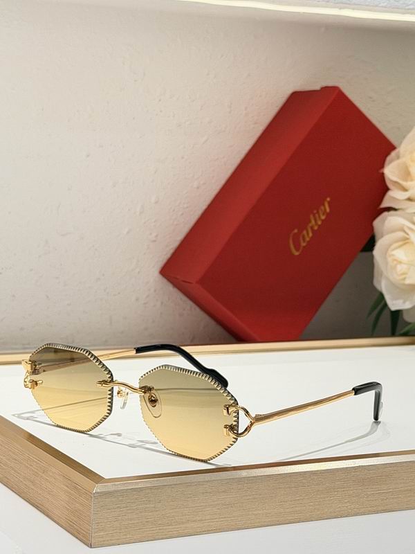 Cartier Glasses smr152