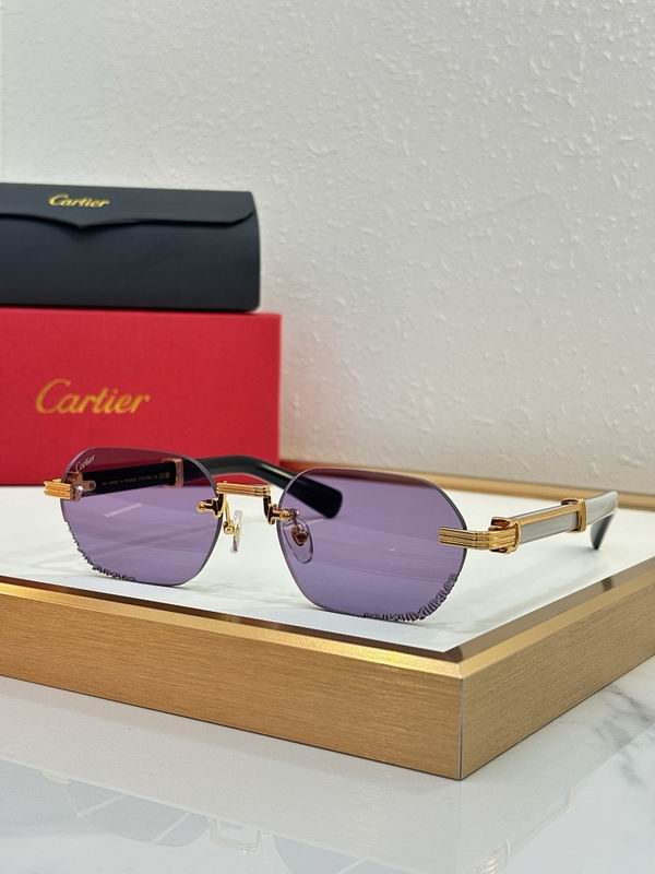 Cartier Glasses smr154