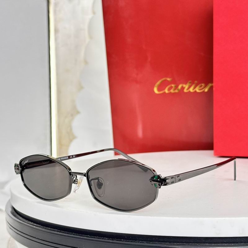 Cartier Glasses smr175