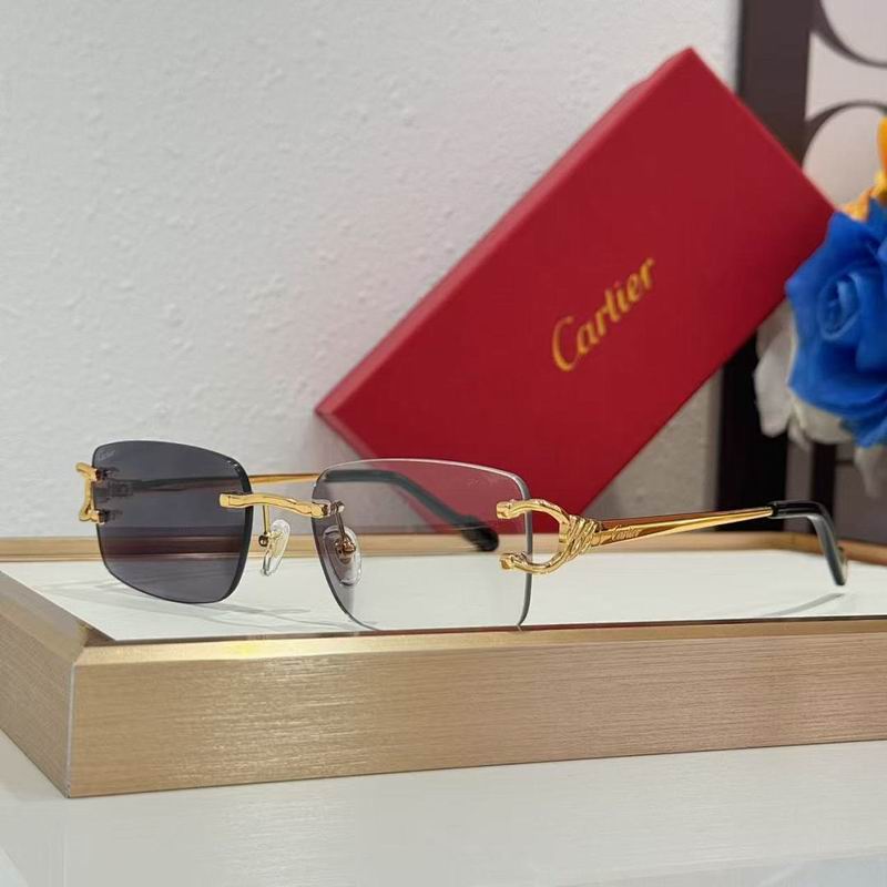 Cartier Glasses smr183