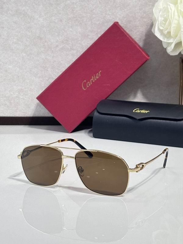 Cartier Glasses smr188