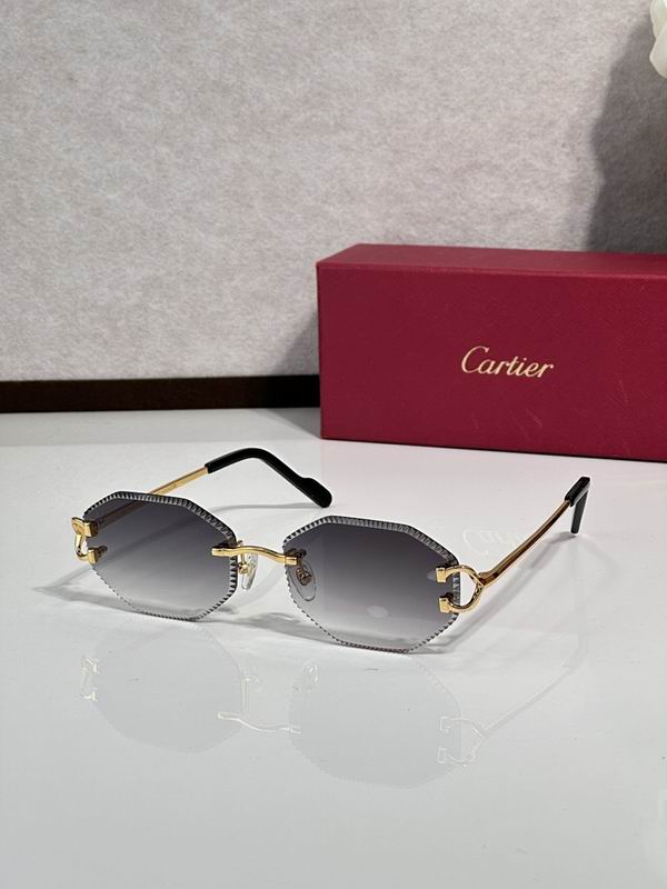 Cartier Glasses smr191