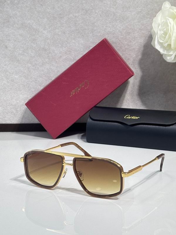 Cartier Glasses smr195