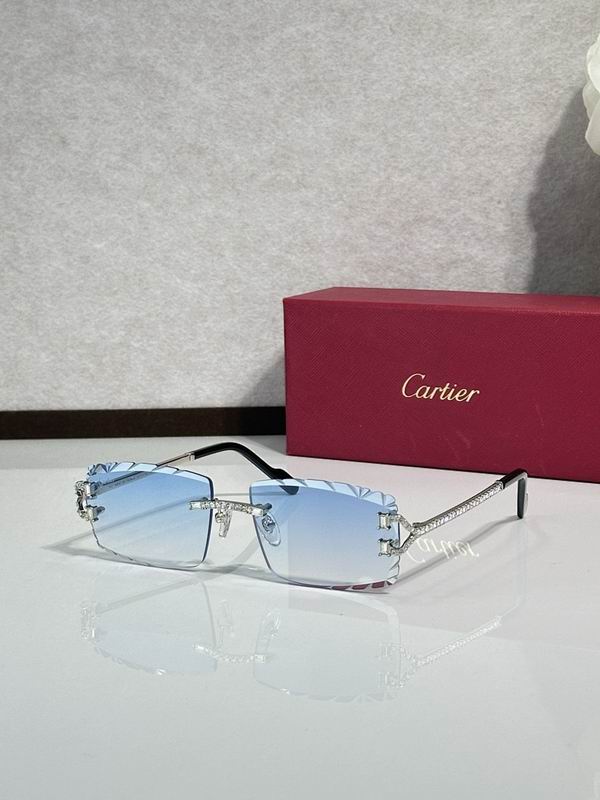 Cartier Glasses smr212