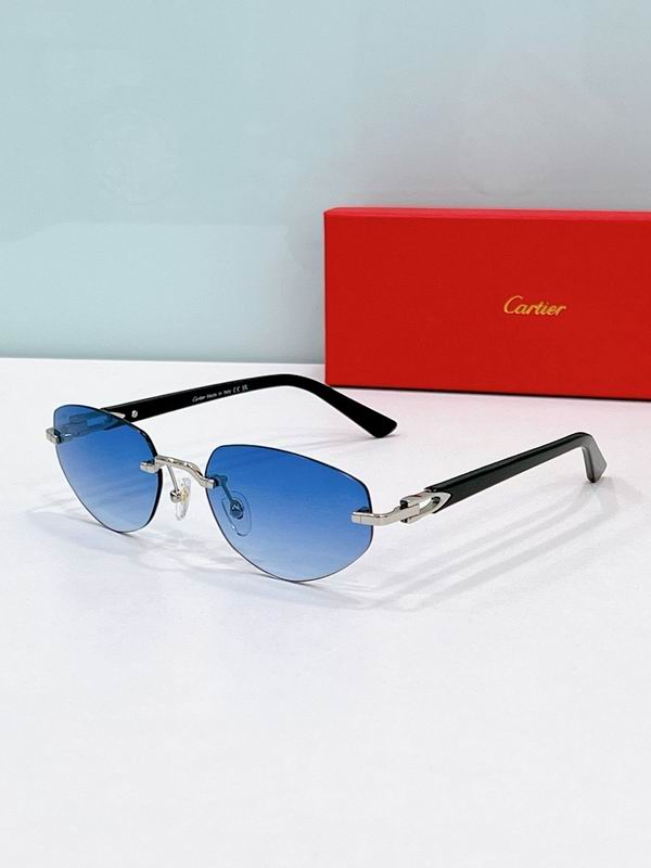 Cartier Glasses smr227