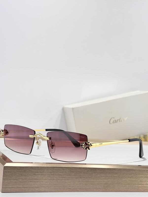 Cartier Glasses smr248