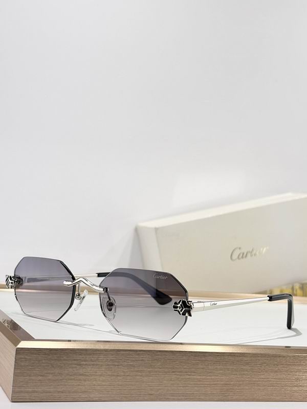 Cartier Glasses smr249