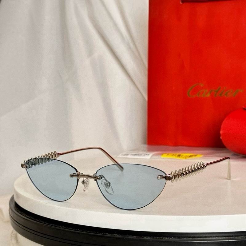 Cartier Glasses smr255